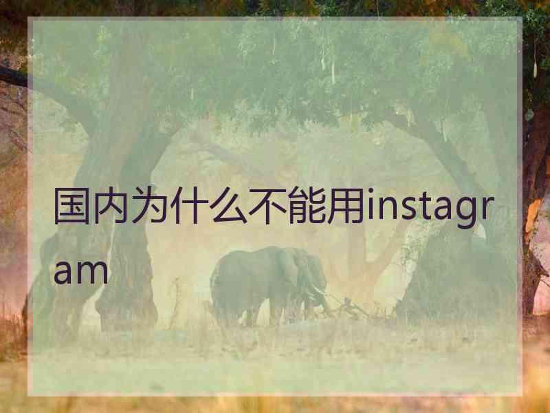 国内为什么不能用instagram