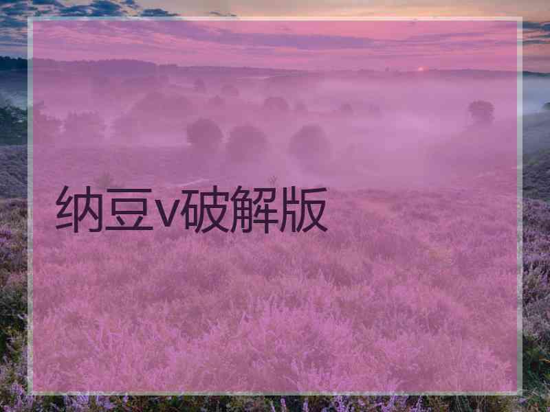 纳豆v破解版