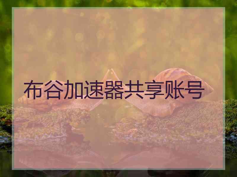 布谷加速器共享账号