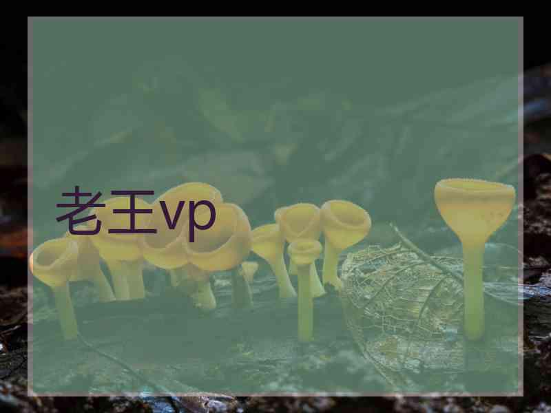 老王vp