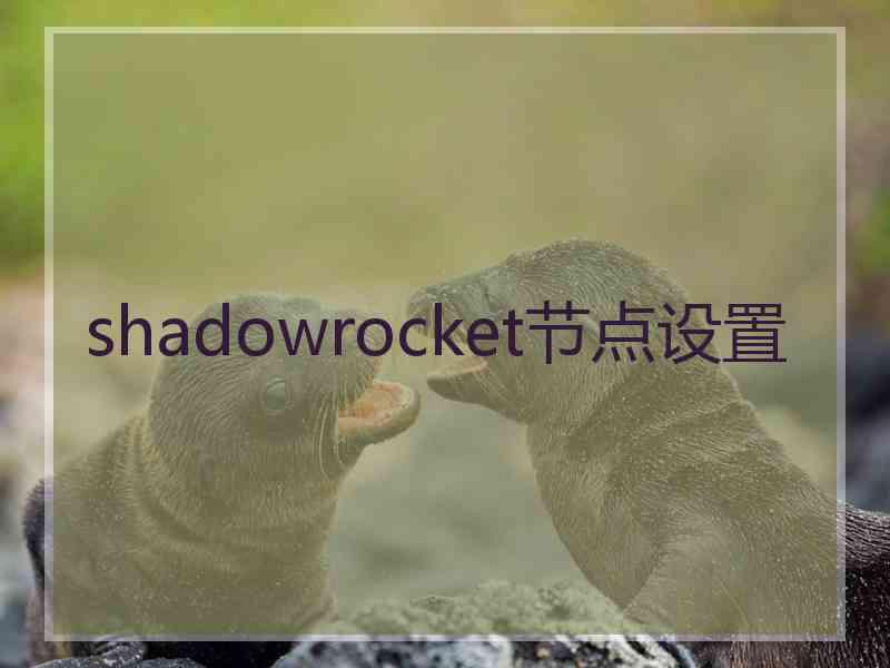 shadowrocket节点设置
