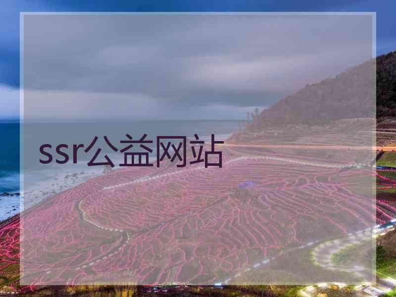 ssr公益网站