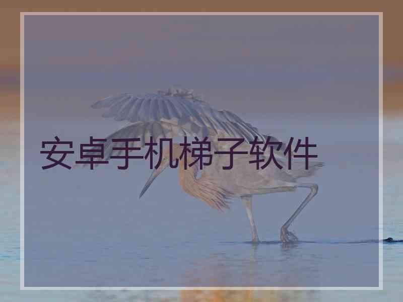 安卓手机梯子软件