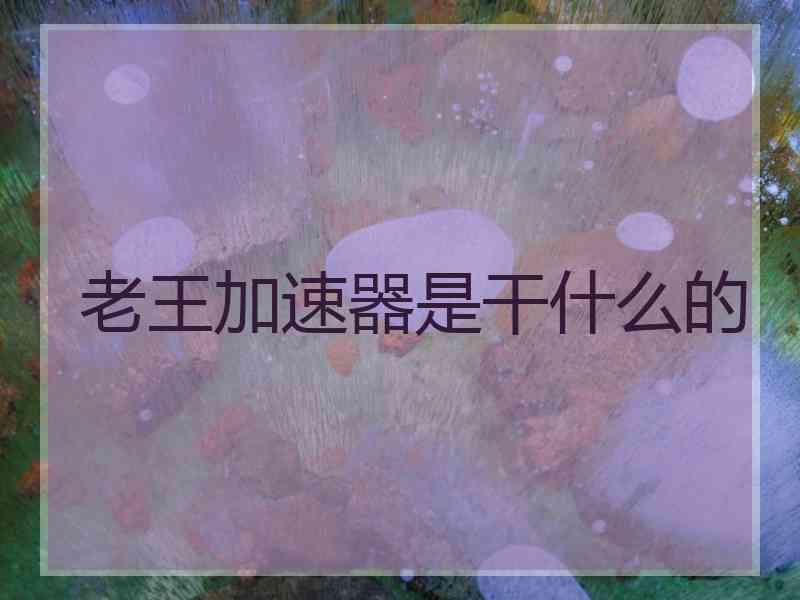 老王加速器是干什么的
