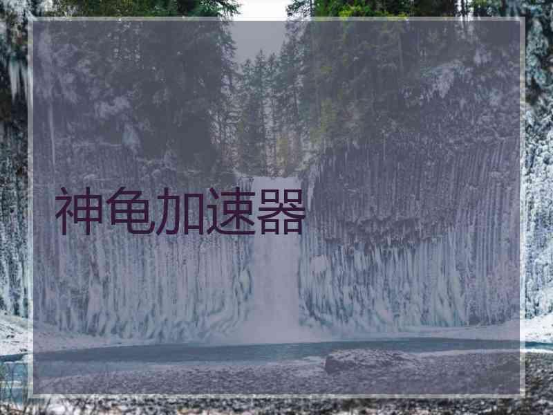 神龟加速器
