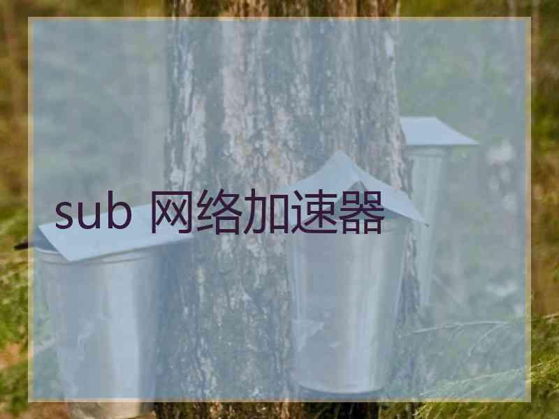 sub 网络加速器