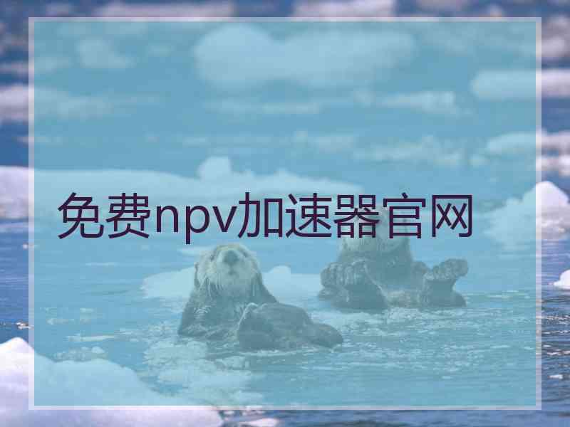 免费npv加速器官网