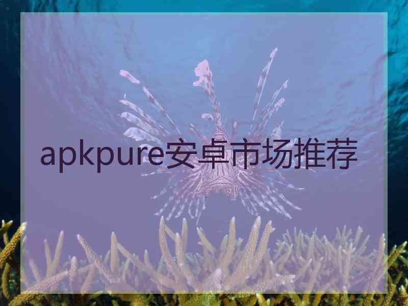 apkpure安卓市场推荐