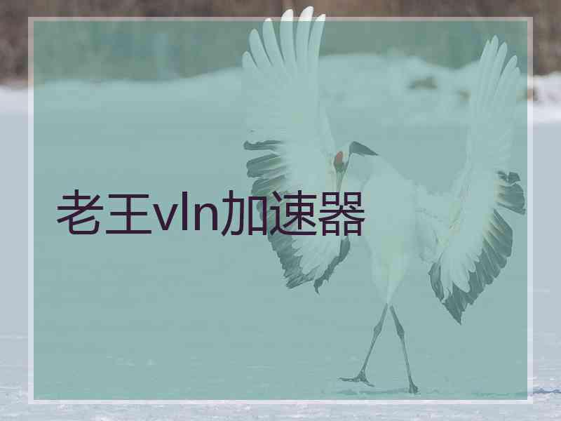 老王vln加速器