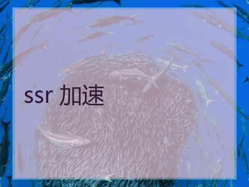ssr 加速