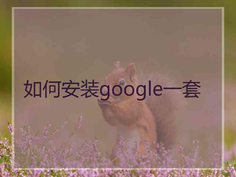 如何安装google一套