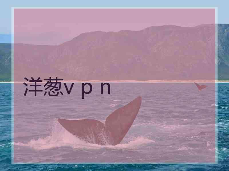 洋葱v p n