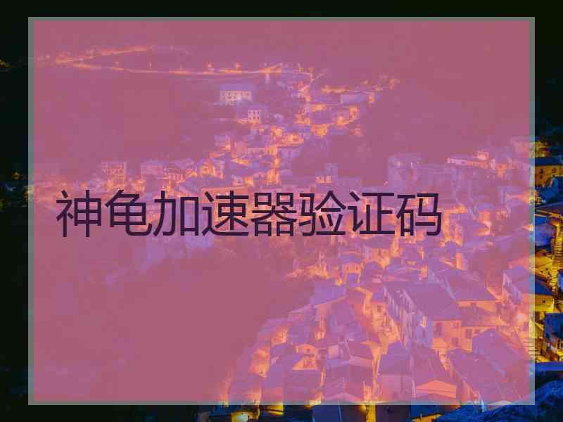 神龟加速器验证码