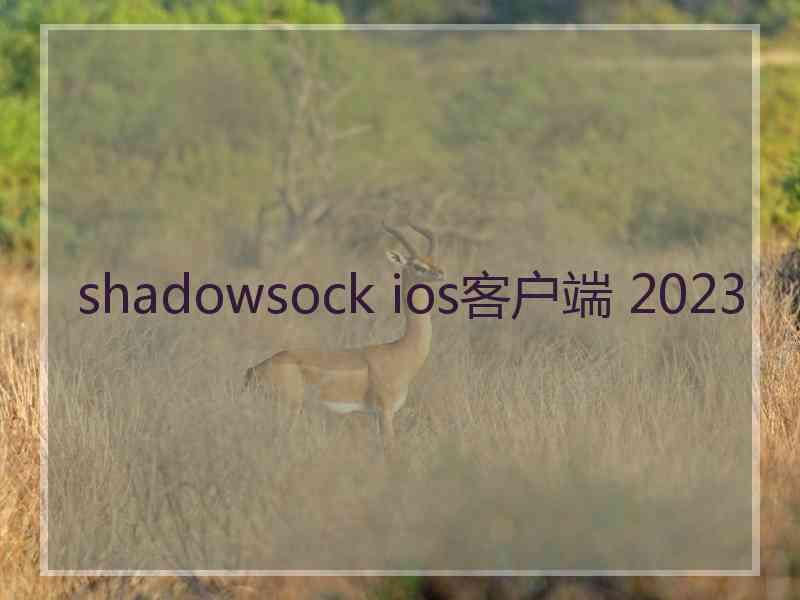 shadowsock ios客户端 2023
