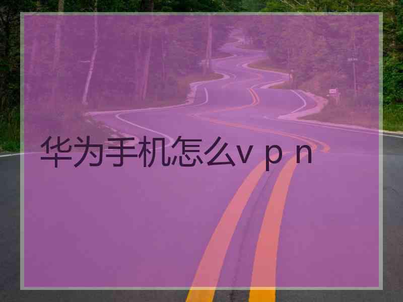 华为手机怎么v p n