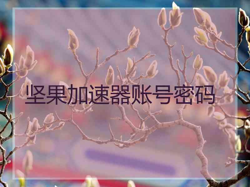 坚果加速器账号密码
