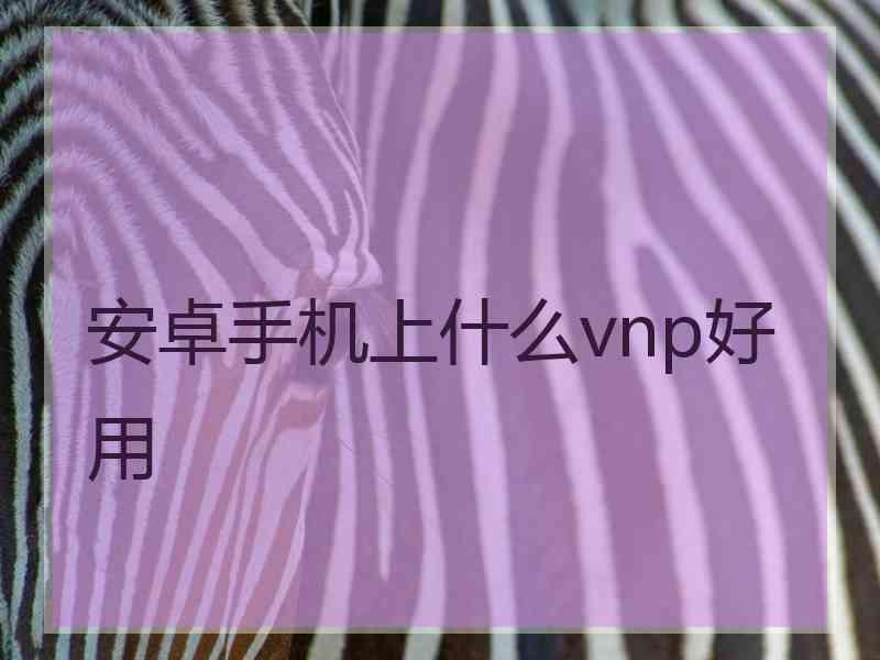 安卓手机上什么vnp好用