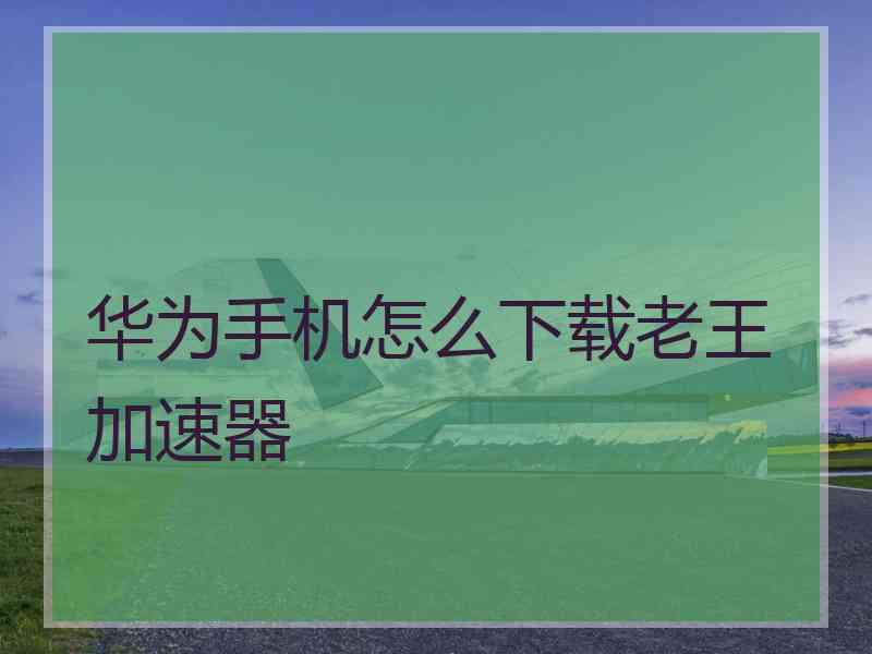 华为手机怎么下载老王加速器