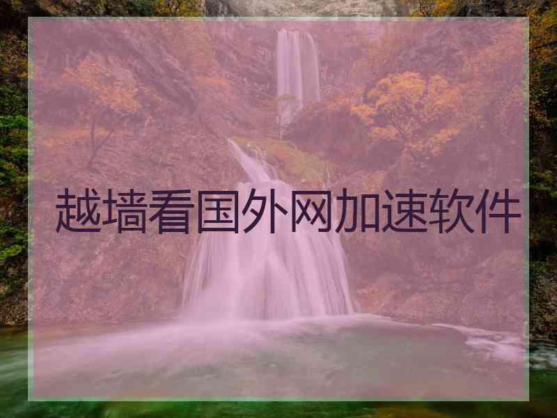 越墙看国外网加速软件