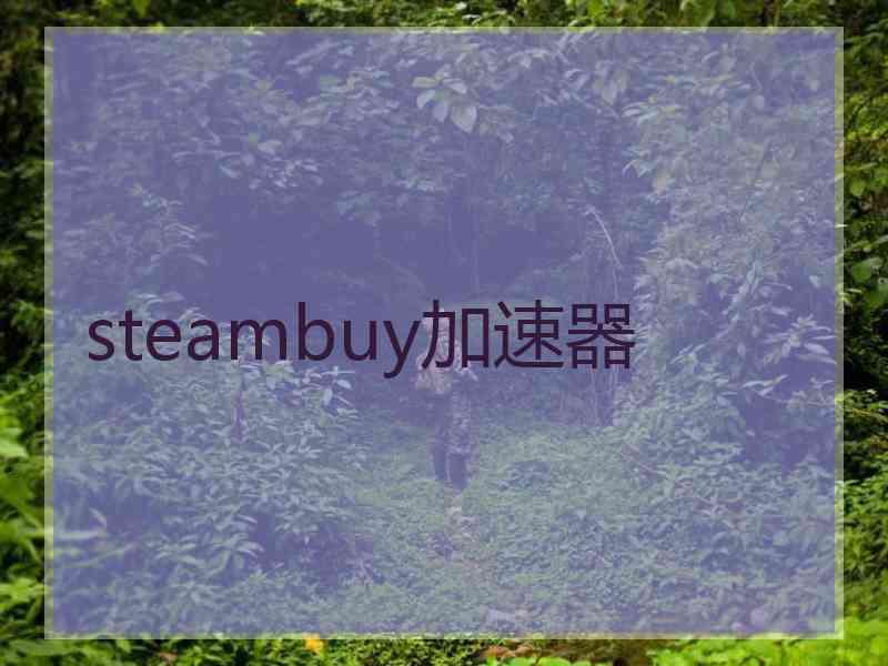 steambuy加速器